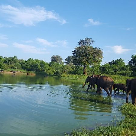 Kuma Safari Lodge Udawalawe Eksteriør billede