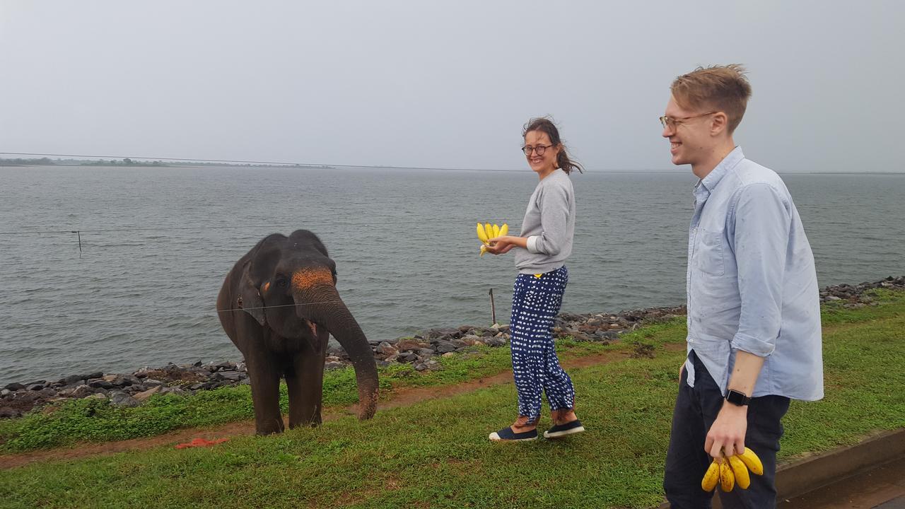 Kuma Safari Lodge Udawalawe Eksteriør billede